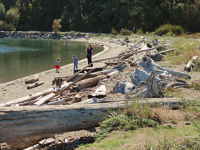 201509OlympicPeninsula 013