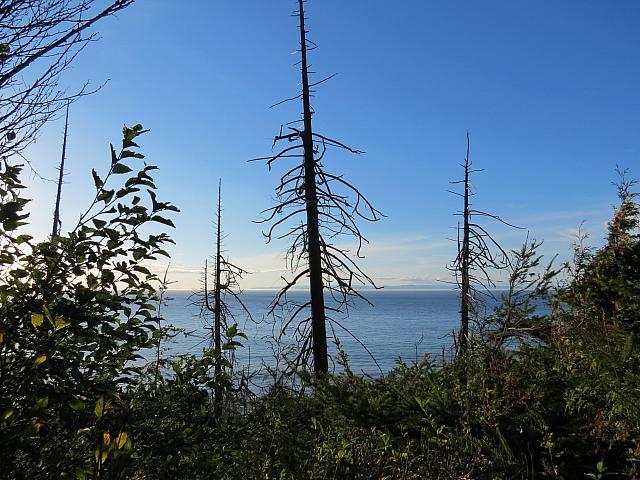 201509OlympicPeninsula 043