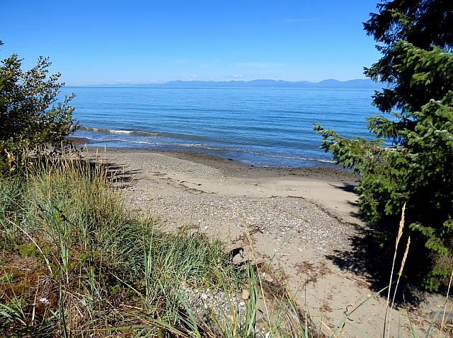 201509OlympicPeninsula 054