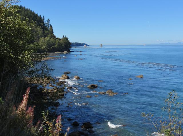 201509OlympicPeninsula 065