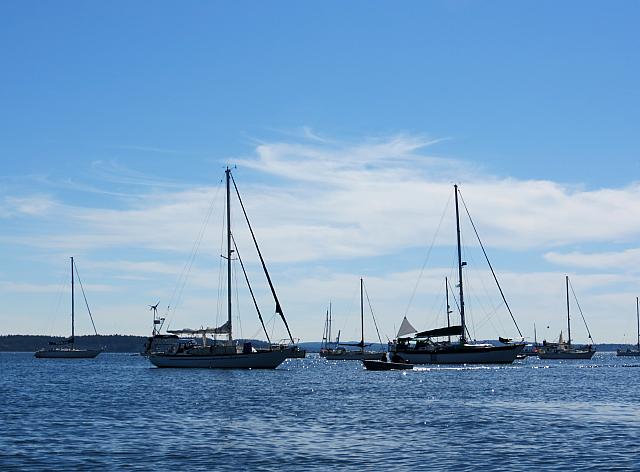 201509OlympicPeninsula 099