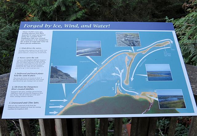 201509OlympicPeninsula 125