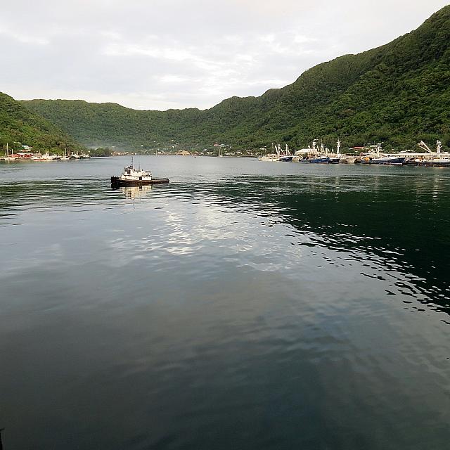 IMG 4965