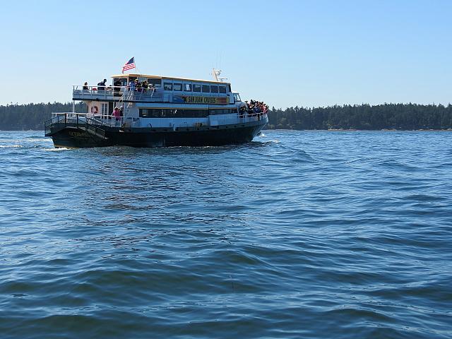 IMG 5933