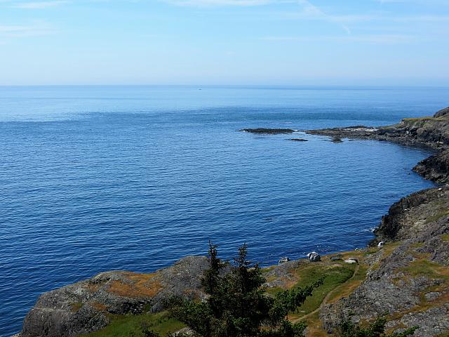 IMG 7438