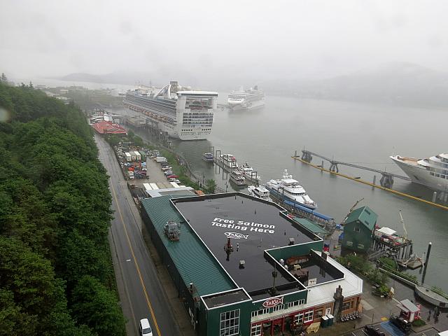 IMG 7679