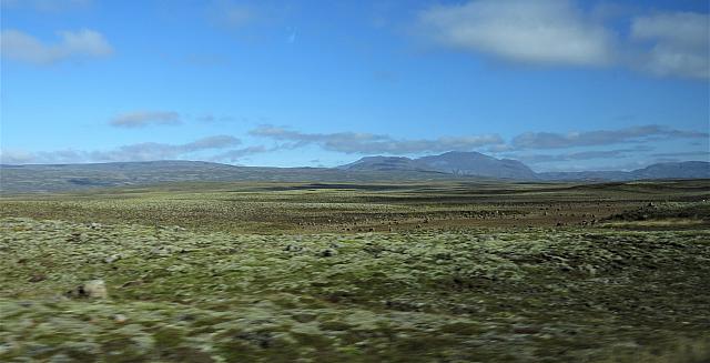 IMG 9279