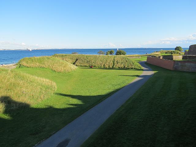 IMG 8656