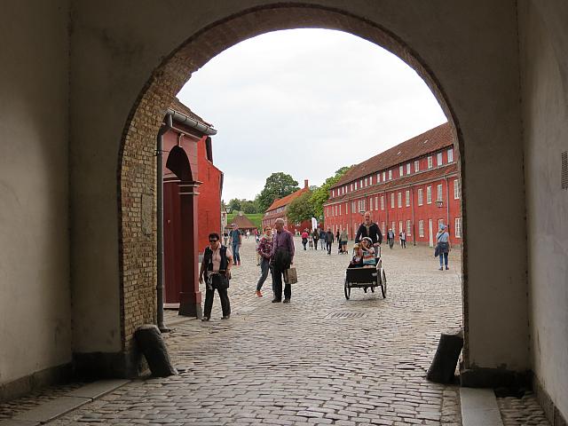 IMG 8731