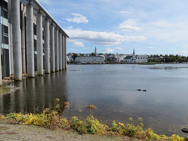 IMG 8261