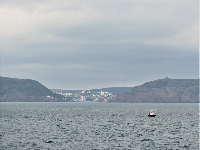 IMG 9957