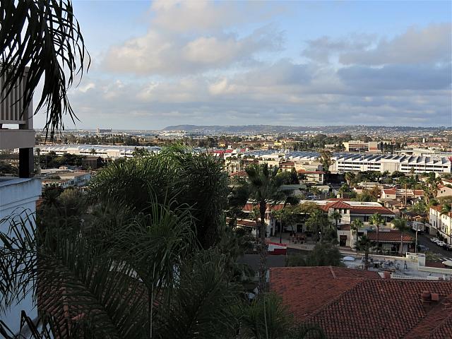 IMG 0338