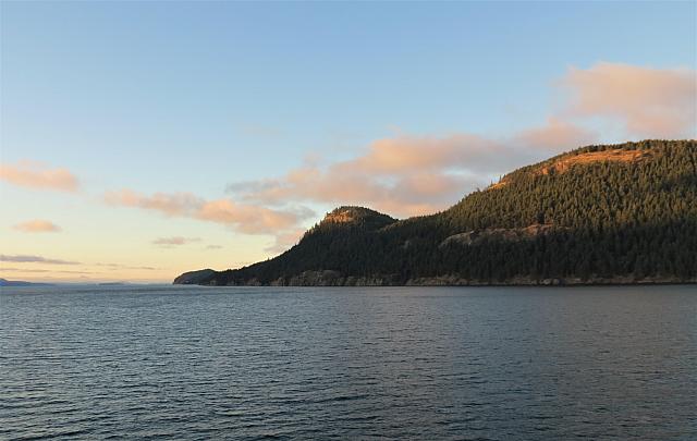 IMG 0810