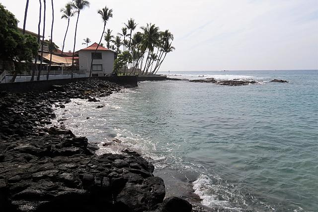 IMG 0959