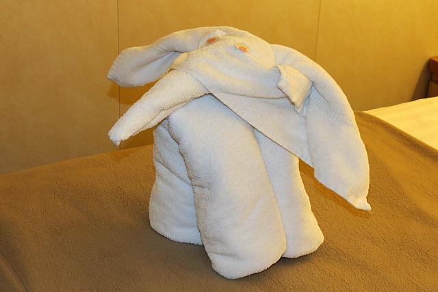 IMG 4864