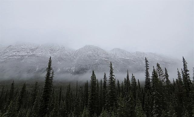 IMG 5347
