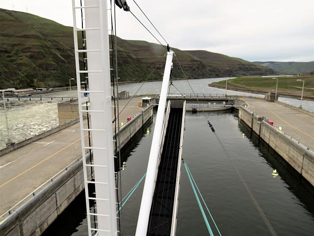 IMG 7493