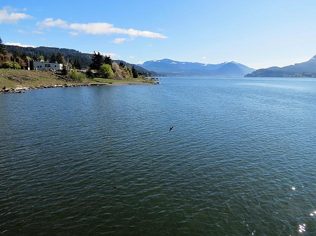 IMG 7534 (2)