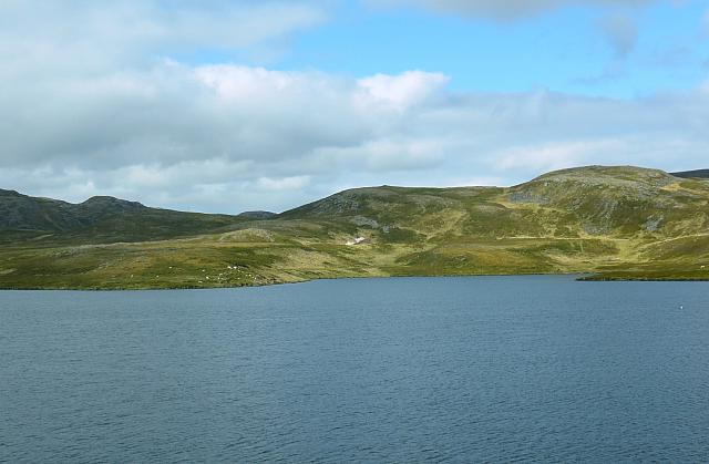 IMG 9558-01