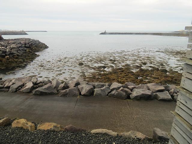 IMG 9953