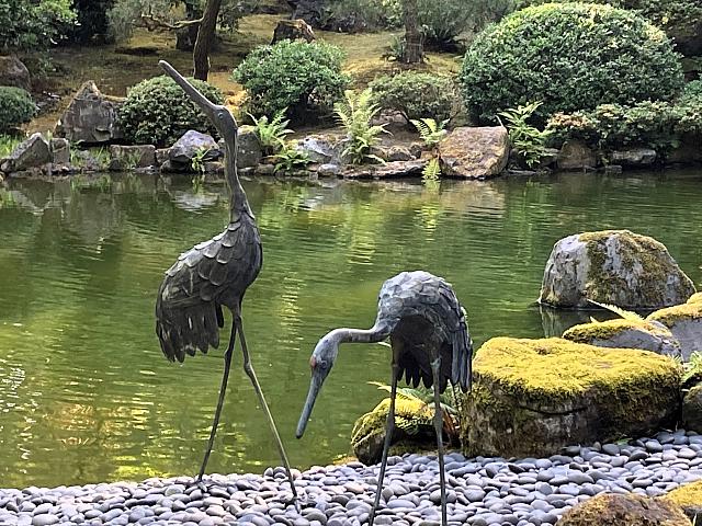 IMG 0917