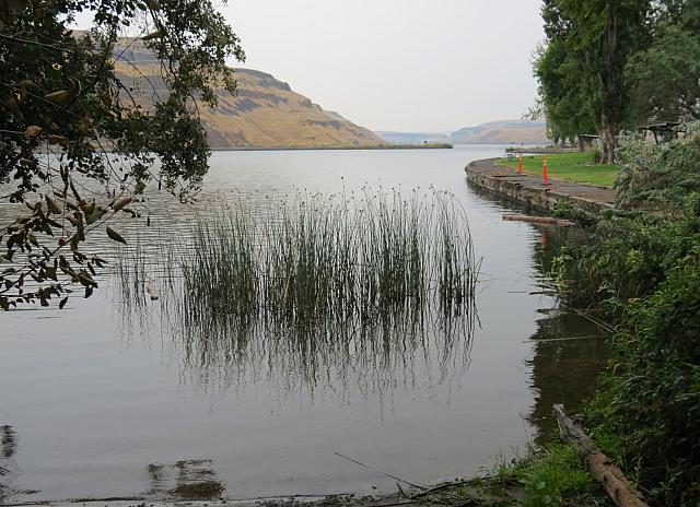 IMG 0028