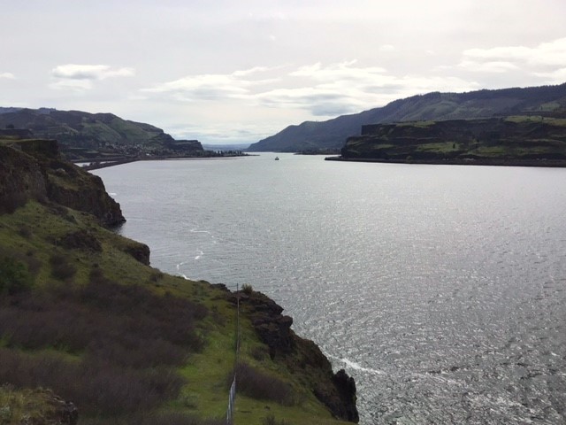IMG 3496