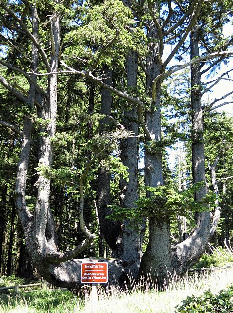 IMG 0801
