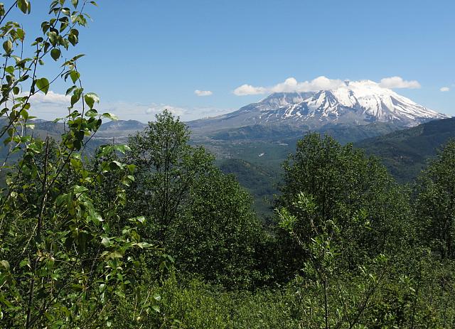 IMG 0857
