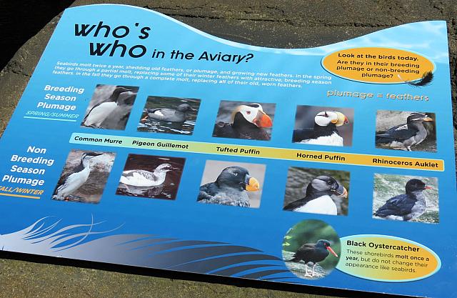 IMG 0944