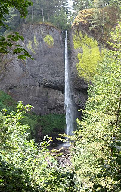 IMG 1185