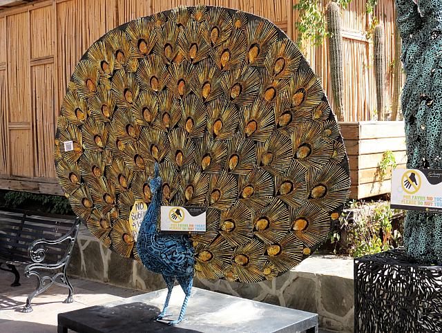 IMG 1734