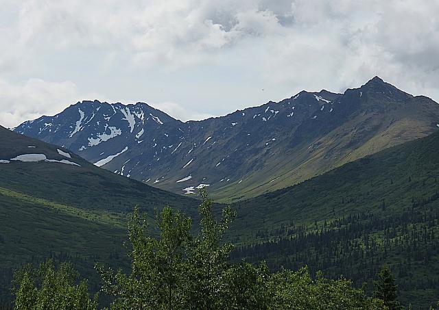 IMG 2616