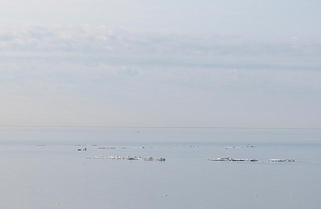 IMG 2491