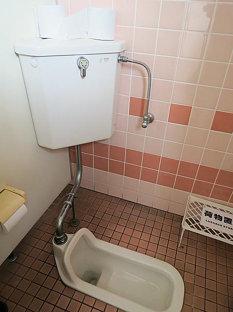 IMG 3334