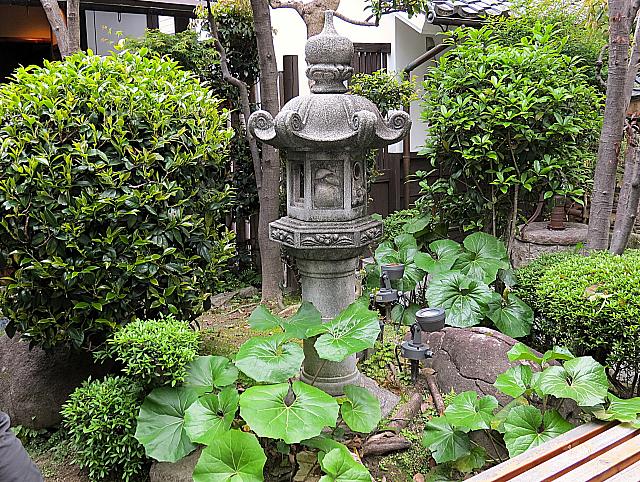 IMG 3597