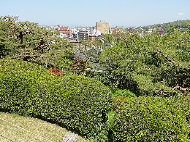 IMG 3739