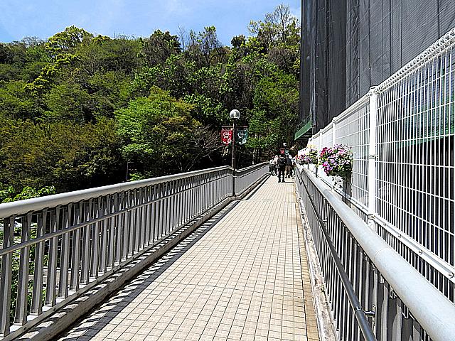IMG 3374
