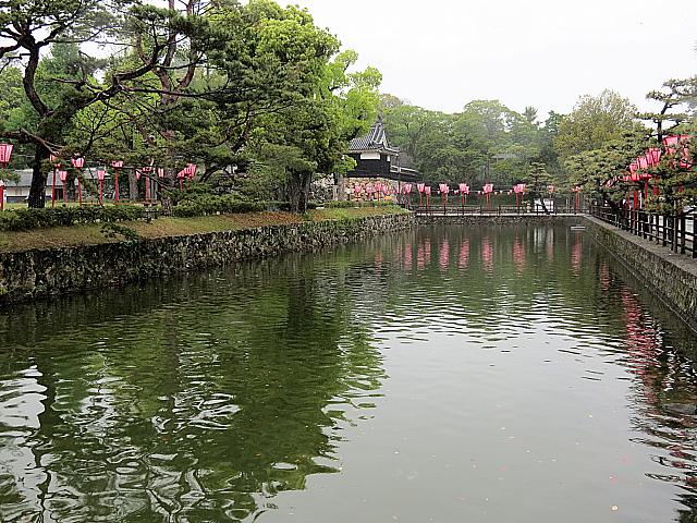 IMG 3459