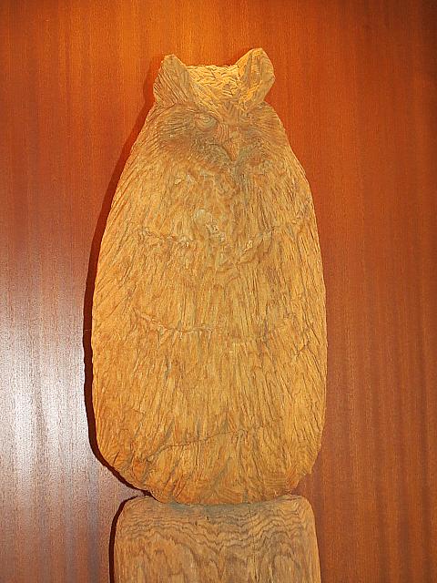 IMG 4151