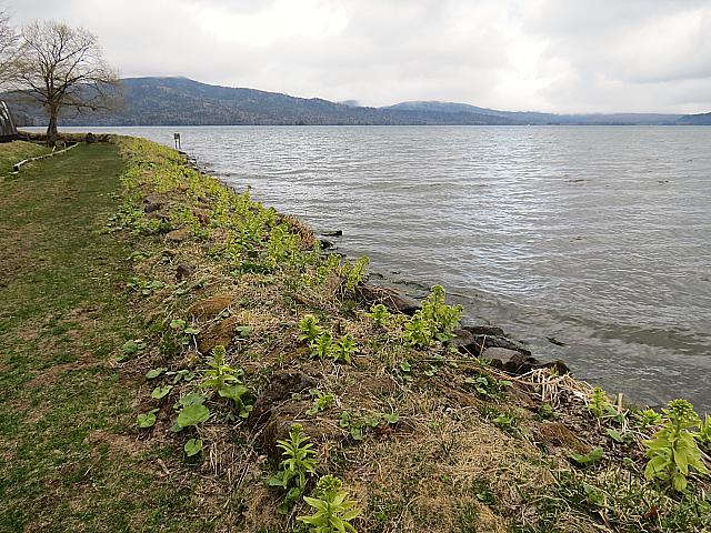 IMG 4156