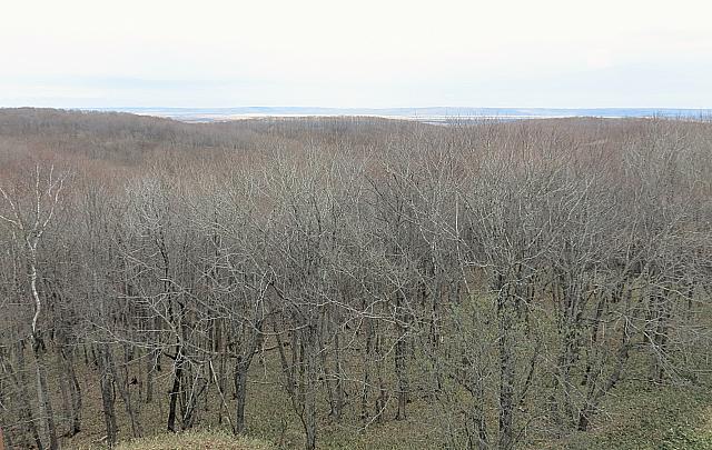 IMG 4170