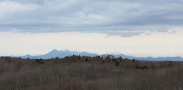 IMG 4172