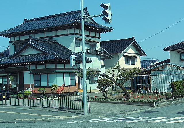 IMG 3793
