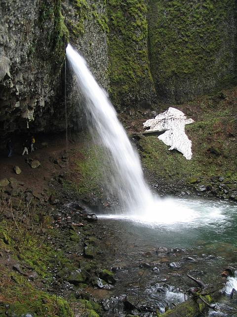 IMG 0771