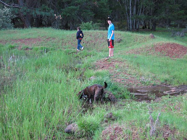 IMG 1277 copy