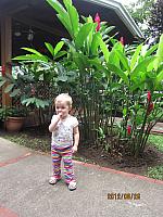 IMG 6885