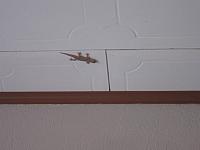 IMG 6893