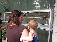 IMG 6922