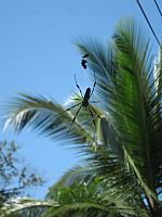 IMG 7043